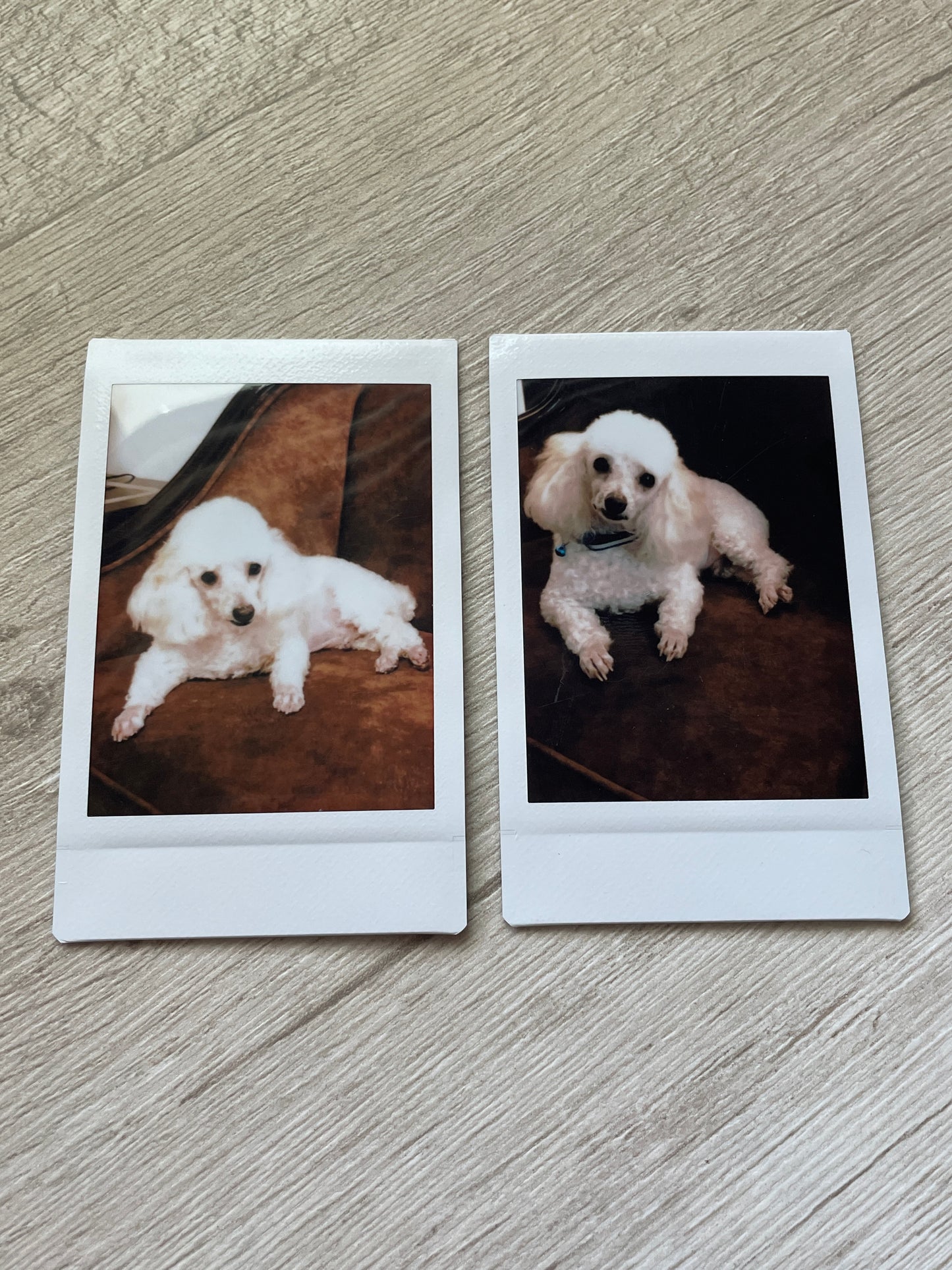 Fotografía Polaroid.